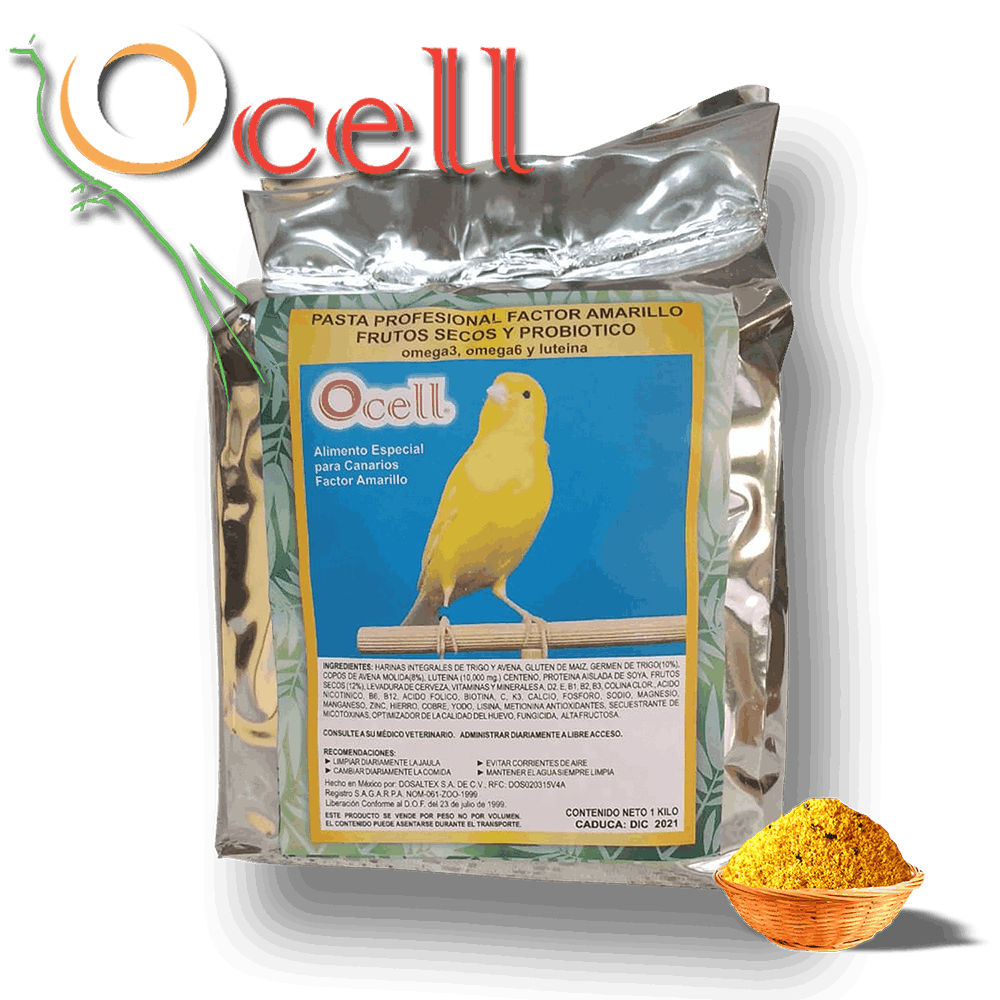 Pasta Profesional Factor Amarillo